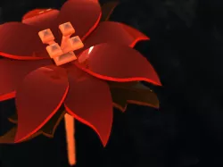 Poinsettias Christmas Ornament