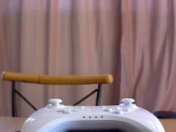 Pro Controller Wii U