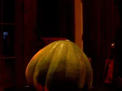 Pumpkin Squash