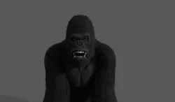 Realistic Gorilla  Face Rigged Game Ready Low-poly  3D model