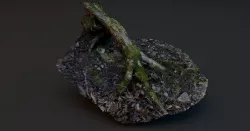 Rotten Tree - Deadwood 3 3D model