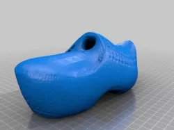 Shoe