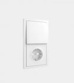 Socket with light switch 3D model