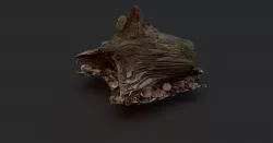 Tree Stump 2 3D model