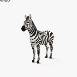 Zebra HD 3D model