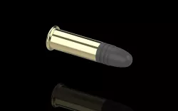 .22 LR