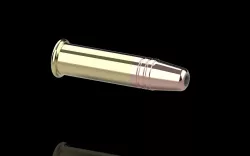 .22 LR JHP