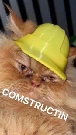 Cat Hardhat