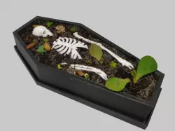 Coffin pot plant container for Halloween