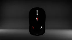 Computer Mouse