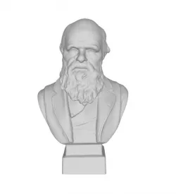Darwin Bust