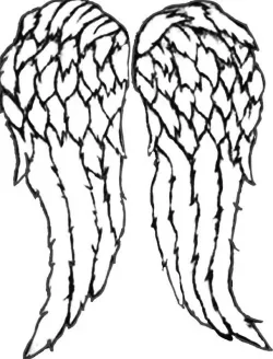 Daryl's Wings