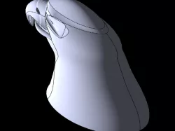 eagle n