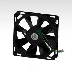 Fan