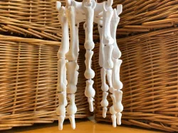 Fingerbone Windchime