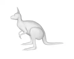 Kangaroo
