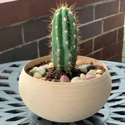 Minimalist Globe Planter or Bowl