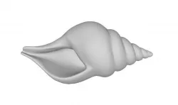 Shell