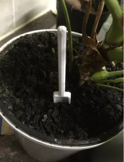 Small pot plant spade \ shovel