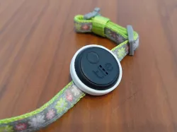 Tile Sticker to clip into collar