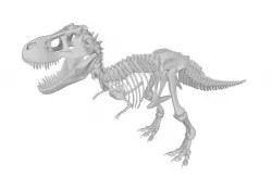 Tyrannosaurus Rex Skeleton