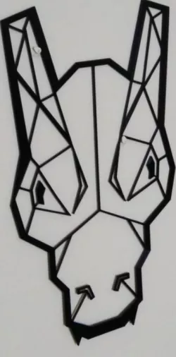 Wall Charizard Snout 2D Art