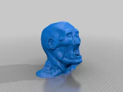 Zombie Head