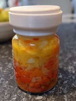 86mm Chilli Fermenter Airlock / Moat / Lid complete with plunger