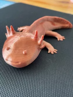 Axolotl