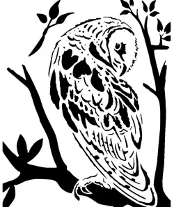 Barn Owl stencil