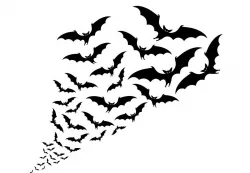 Bat Flight wall art