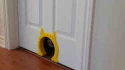 Cat flap - Chattière