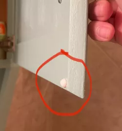 Door Bumper