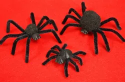 Halloween Spider