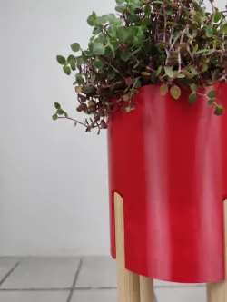 Planter with dowel Legs