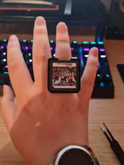Pokemon Diamond Ring (or NDS Cartridge Ring)