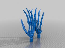 Skeleton Hand - Download Free 3D model by ZachCHale (@zachariah.the.hale)  [a4bf7ea]