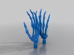 Skeleton Hands