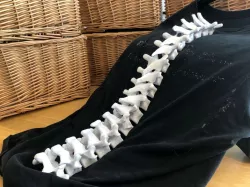 Wearable Spine