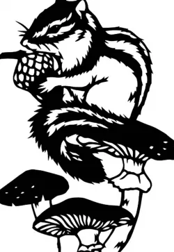 2D Squirrel