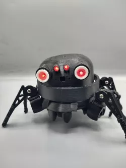 Asi, Wearable Robot Friend