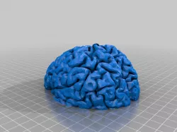Cute little Brain planter