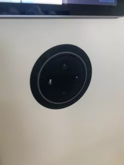 Echo Dot Flush Mount