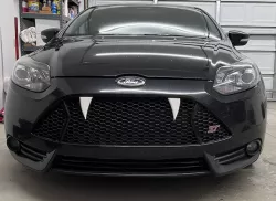 Focus ST Teeth