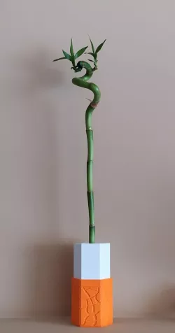 fortune bamboo vase