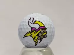 Minnesota Vikings Logo