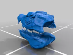 Paleosuchus palpebrosus head - Cuvier's dwarf caiman