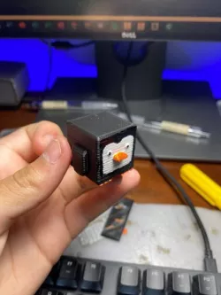 Penguin Cube
