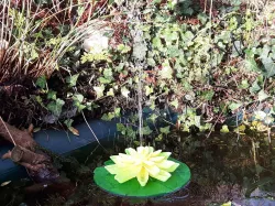 Pond Fountain and Water Filter