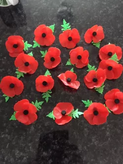 poppy (red or purple or car) lest we forget